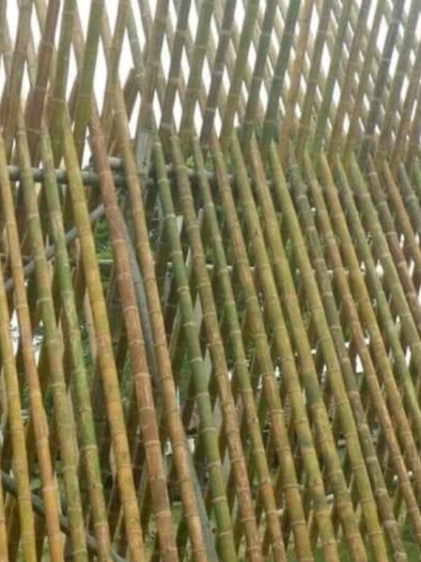 2a50bb79-fb33-4634-992b-5ce421f924ed