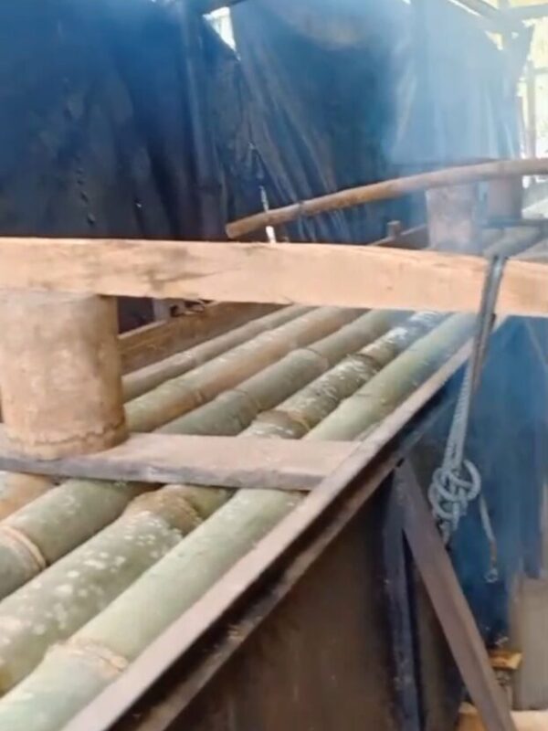 3bb5839d-3bd4-483a-8f8a-d4a7b398c726