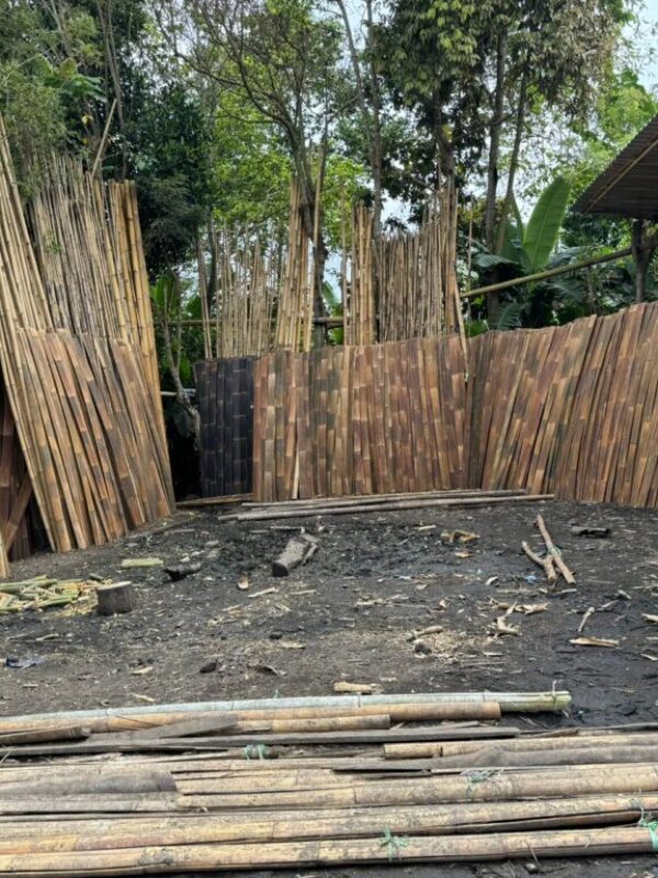 cf672fd8-0960-4f8e-bde8-33807ff0a872 cf672fd8-0960-4f8e-bde8-33807ff0a872