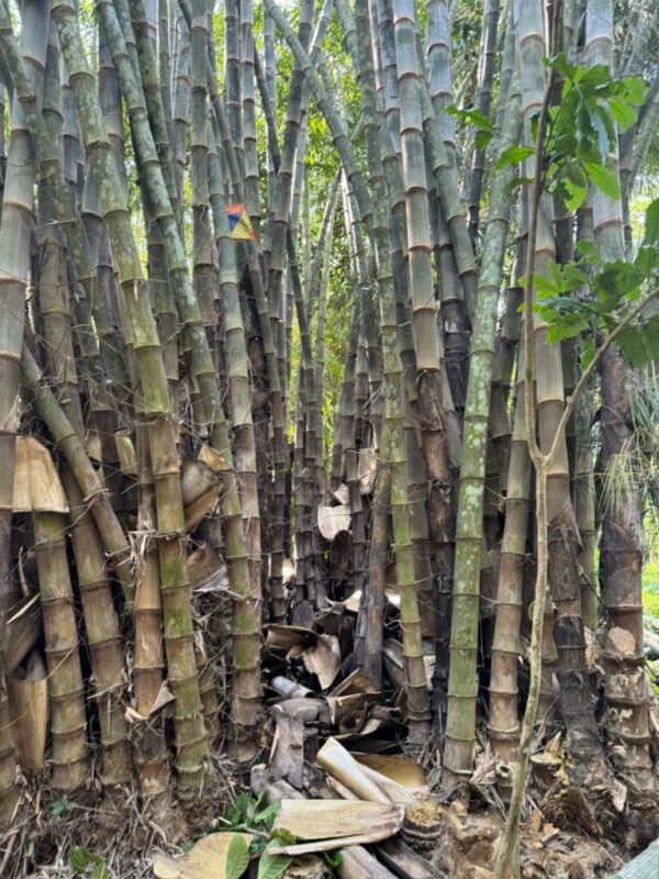 eb7e76e4-7dfc-4f06-8266-8eca40707286